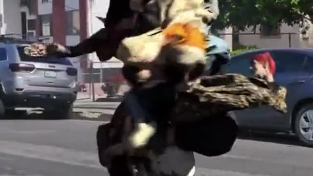Very intresting video this is the negic| what is this tell me comment box
