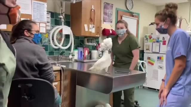 Doctors Dancing With A Patient