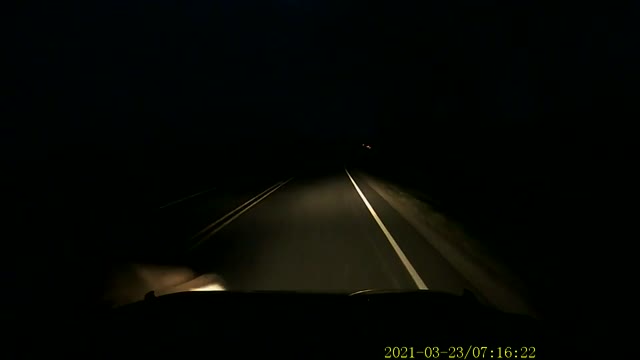 Deer Near Miss