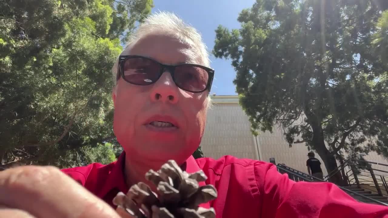 Australian Election (5-22-22)