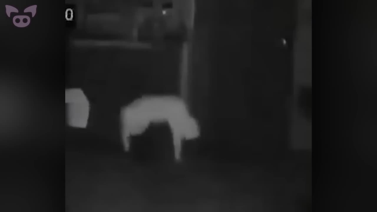 People Are Losing Their Minds Over This Weird Footage