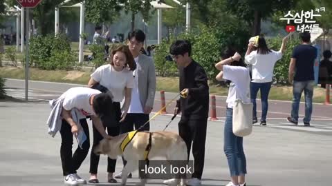 best korean video