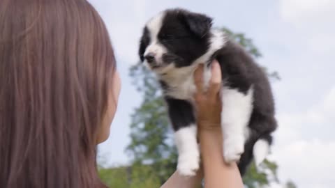 A young woman holds a cute little puppy up in the air - closeup