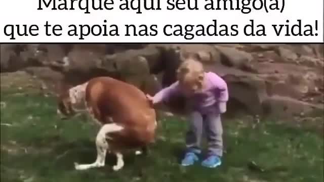 Puppy funny and children