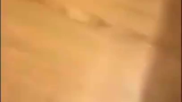 He was just tryin