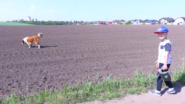 A walk with our St. Bernard dog, Nut.