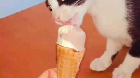 #chat #love
