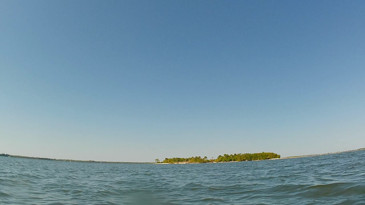 Paddle to Horseshoe Crab Island