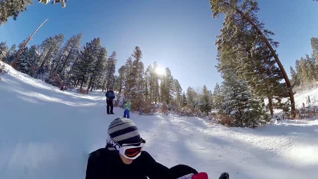 First Time Sledding