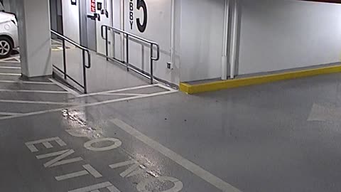 6080RHOBG3G305ANorthLobbyEntry_2021-01-06_17h20min03s570ms.mp4