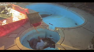 Man Falls Into Empty Hot Tub With Wheelbarrow