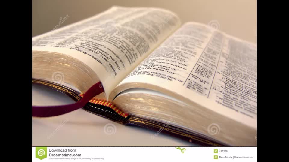 Why does the Church ordain priests?