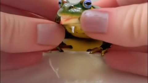 frog dessert