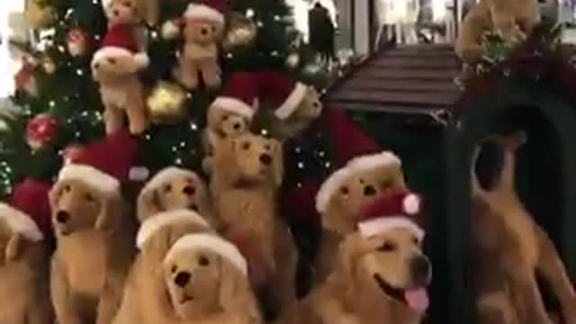 Merry Christmas to all friends who follow me