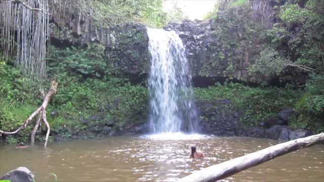 A Waterfall Cascading into a Swimming Hole in Hawaii