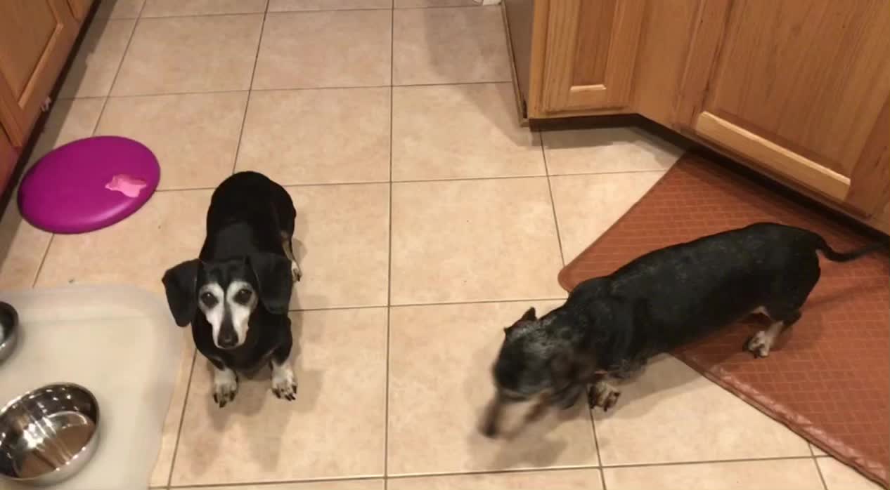 Two Old Weiner’s