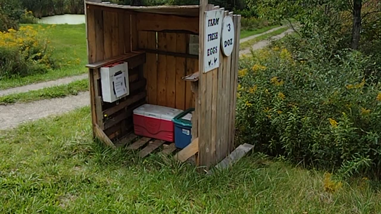 Roadside Egg And Produce stands -vs- A Digital Currency???