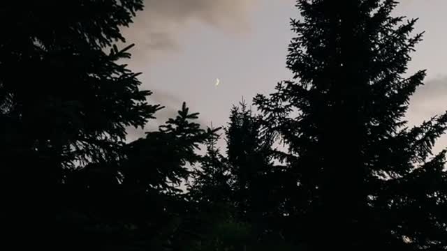 2/365 🌙