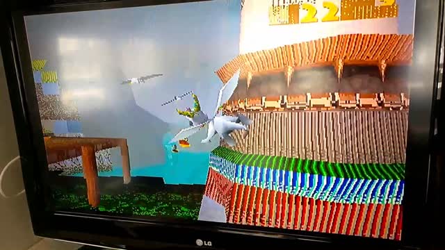 Massive glitch while playing Spyro