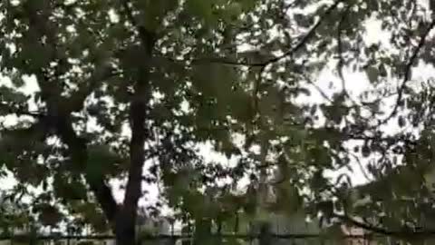 Calm and psychological comfort