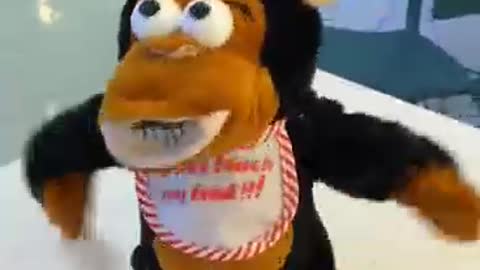Steal the monkey's banana, he is angry