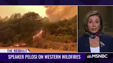 CA Officials To Clear Underbrush To Prevent Wildfires - After Mocking Trump For Suggesting It