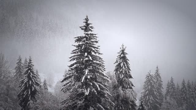 Snow And Side Effects