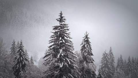 Snow And Side Effects