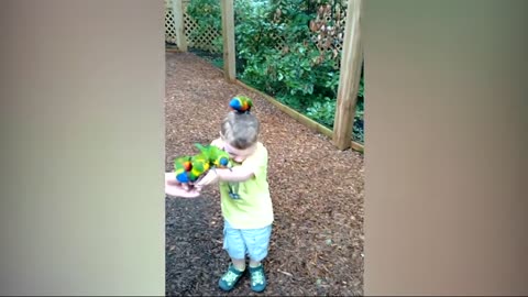 birds playing with kids
