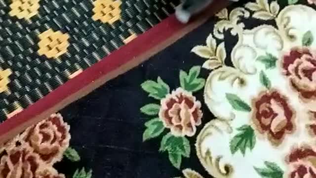 Little cat playing with a ball