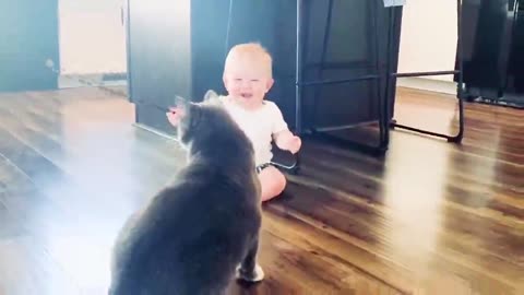 Baby and Cat are hilarious...