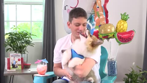 How to Teach your Puppy to INSTANTLY Sit Still and Pay Attention