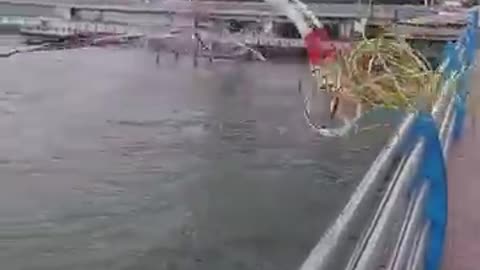 Awesome fishing net throwing skill #Shorts