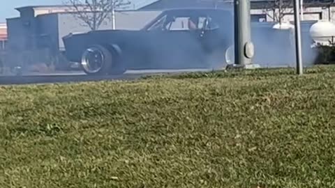 Straight American Muscle