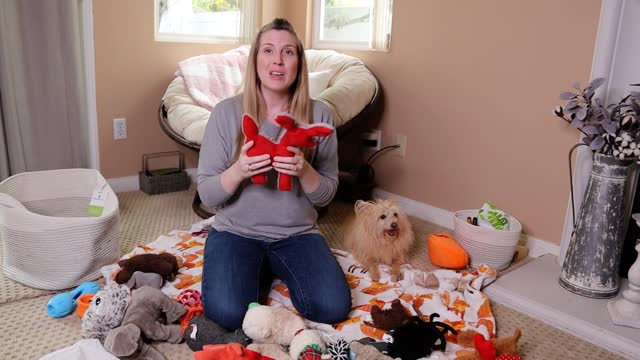 How To Wash Clean Your Dogs Toys Instantly With These Few Advise
