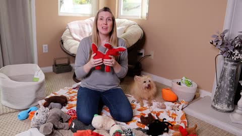 How To Wash Clean Your Dogs Toys Instantly With These Few Advise