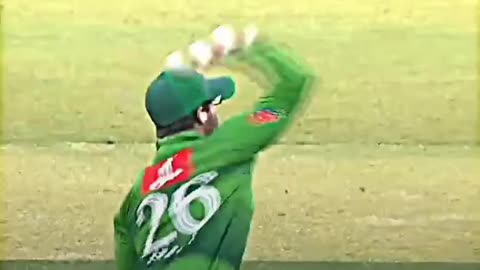 Imam Ul Haq Stop Boundry And Miss Throu #shortvideo #viralshort #trendingvideo #cricket