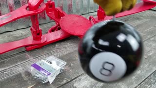 BEAR TRAP VS MAGIC 8 BALL🎱 WHAT'S INSIDE IS AMAZING! Big Red Bear Trap #4