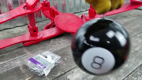 BEAR TRAP VS MAGIC 8 BALL🎱 WHAT'S INSIDE IS AMAZING! Big Red Bear Trap #4