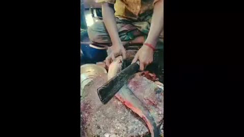 Fish Cutting