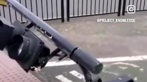 This one fell over, mate