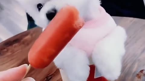 Cute_and_Funny_Dogs_Videos_Compilation_2022__Part__15_#shorts(4K).webm