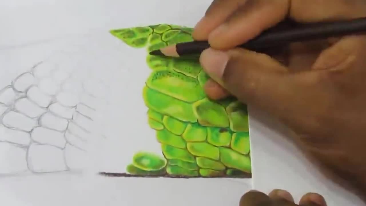 Color the scales of the snake