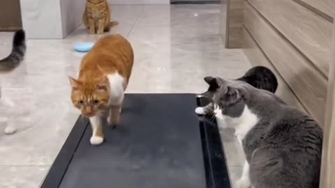 funny