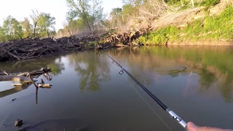 White Bass Fishing Lake Belton March 2021