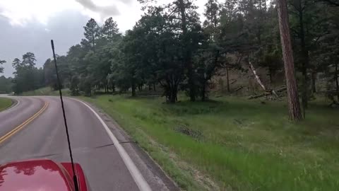 Did you see that?