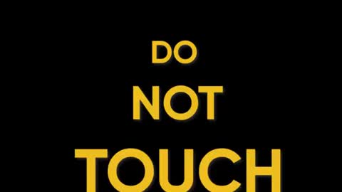 Things people do in museums when nobody is looking