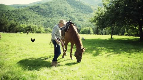 A happy senior man holding a horse grazing outdoors on a pasture