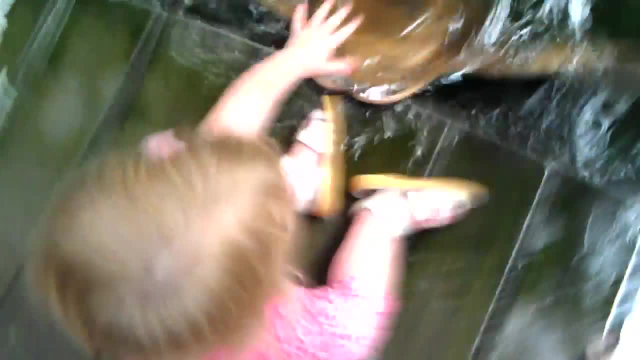 Baby pats a stingray Funny kid and animal