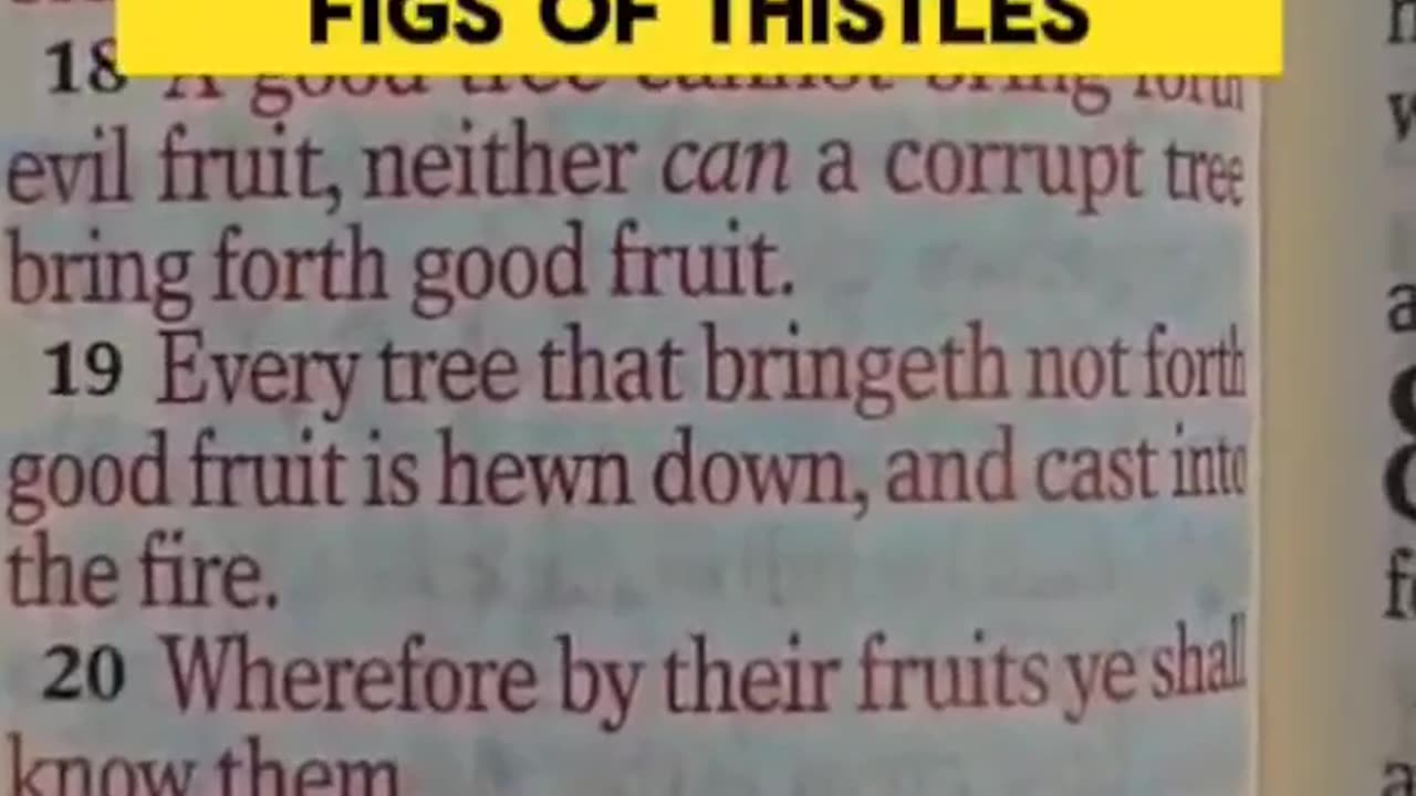 The fruit of the Heart